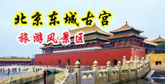 操骚逼啊啊啊视频Ve鸡脖中国北京-东城古宫旅游风景区